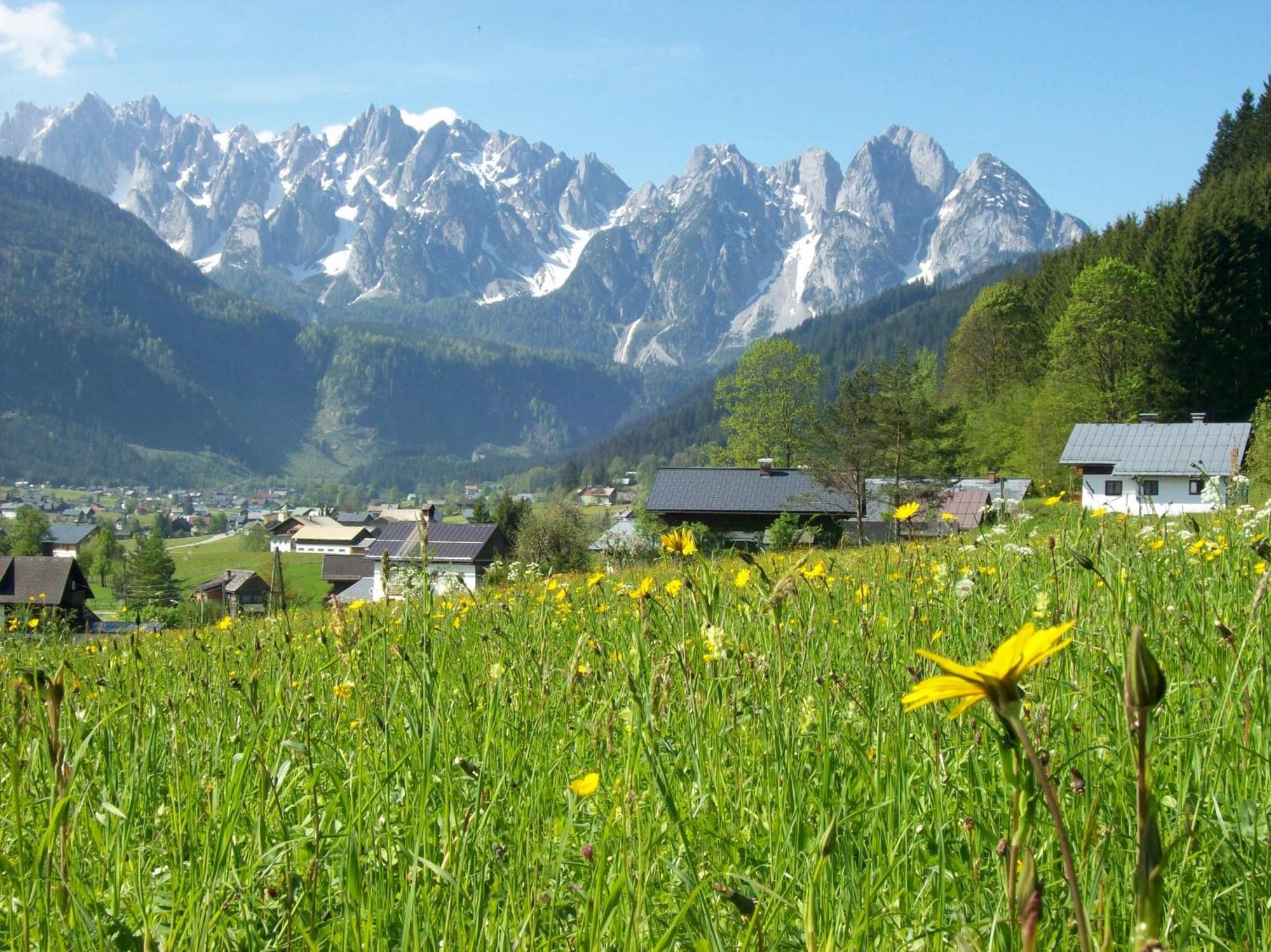 Sunseitn Apartments Gosau Eksteriør bilde